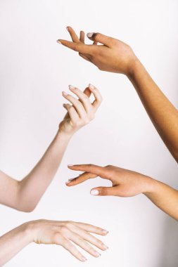 Beyaz arka planda tutulan çok ırklı eller 