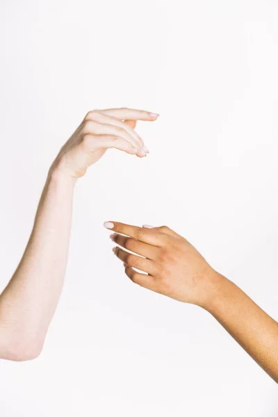 Multirassische Hände Halten Auf Weißem Hintergrund — Stockfoto