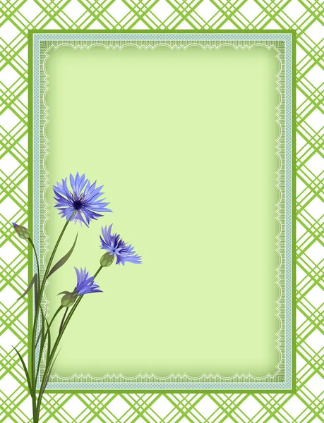 Ornate color rectangular frame, plaid seamless background, cornflowers. Template for card, advertisement, invitation. Swatch is included in vector file. Clipping mask applied. — Stock Vector