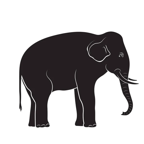 Черный силуэт слона, векторная иллюстрация, логотип . — стоковый вектор