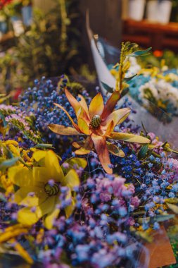 Çeşitli bahar çiçekleriyle çiçeklenmiş, aralarında Leucadendron da var. Alicante, Valencia, İspanya.