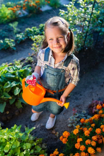 Niña regando macizos de flores — Foto de Stock