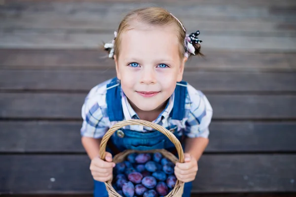 Menina criança com cesta cheia de ameixas — Fotografia de Stock
