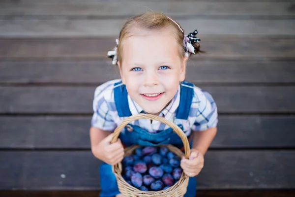 Menina criança com cesta cheia de ameixas — Fotografia de Stock