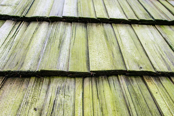 Trä mossiga shingle bakgrund — Stockfoto