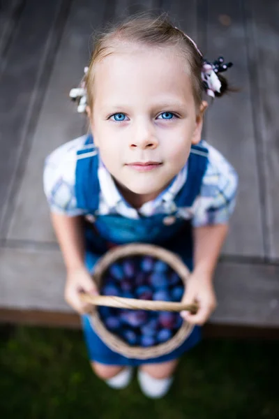 Serious little child girl gardener with basket full of plums — Stock Photo, Image