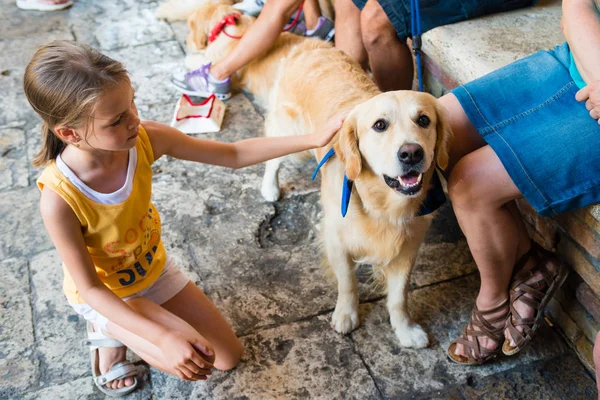 Niña acariciando perro — Foto de Stock