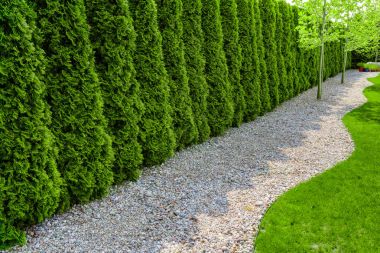 İyi hazırlanmış bir yolu küçük taşlar, araştırmalar ve yeşil çim ile resmi Bahçe