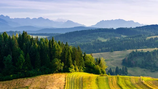 Panorama van de Tatra gezien vanaf de kant Pieniny — Stockfoto