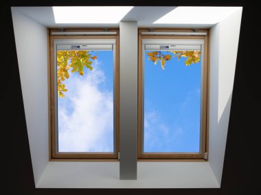roof windows overlooking the blue sky and autumn oak leaves clipart