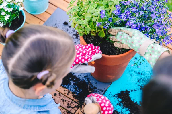 Mutter Und Tochter Pflanzen Blumen Töpfen Garten Konzept Der Zusammenarbeit — Stockfoto