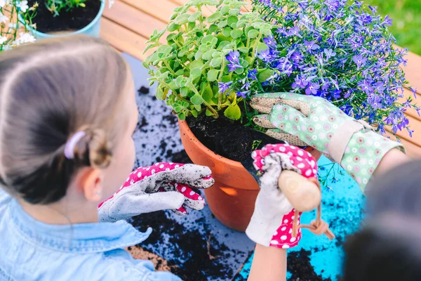 Mother Daughter Planting Flowers Pots Garden Concept Working Together Spending — 스톡 사진