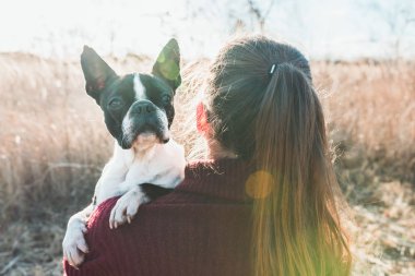 Boston teriyer köpeğine sarılan bir kızın portresi.