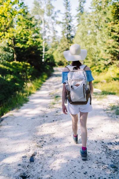Jovem Viajante Com Mochila Enquanto Caminha Uma Trilha Montanha Férias — Fotografia de Stock