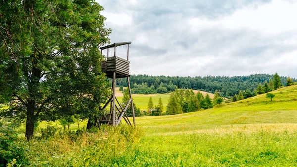 Berglandschap Met Een Jachtstoel Aan Rand Van Een Weiland — Stockfoto