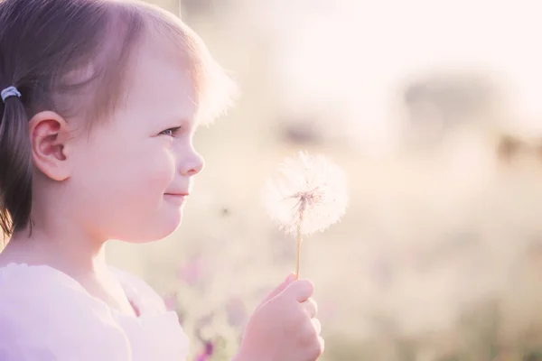 Malé Batole Dívka Bílých Šatech Pampeliškou Ruce — Stock fotografie