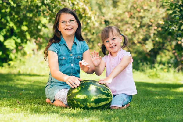 夏の庭の芝生の上の大きなスイカでスクワット小さな幼児の女の子 一緒に自由な時間を過ごす概念 フィールドの浅い深さ — ストック写真