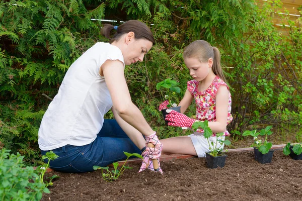 Madre Hija Plantando Plántulas Lechuga Joven Huerto —  Fotos de Stock