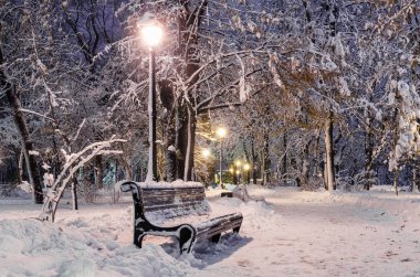 Parkta kış akşamı, kar kaplı banklar, parlak ışıklar beyaz karı aydınlatıyor, Yeni Yıl arifesi kar, Kiev, Ukrayna