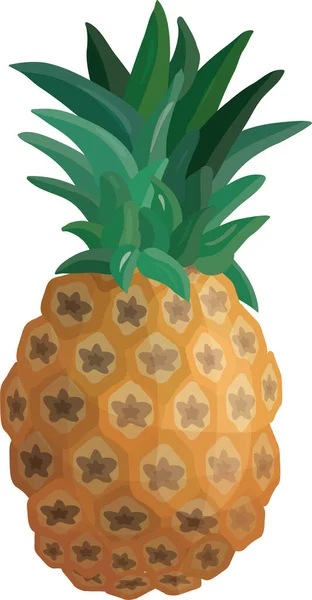 Piña Fresca Sobre Fondo Blanco Vector — Vector de stock