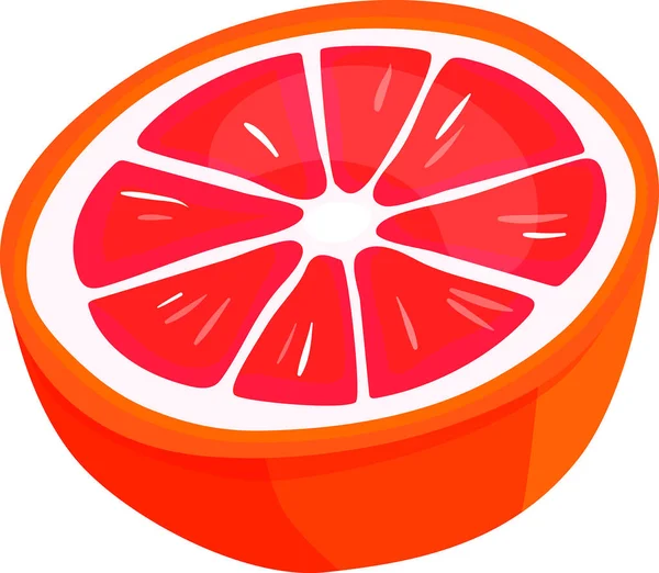 Fresh Slice Citrus White Background Vector — Stock Vector