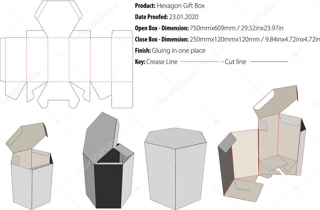 Hexagon Gift Box template die cut vector