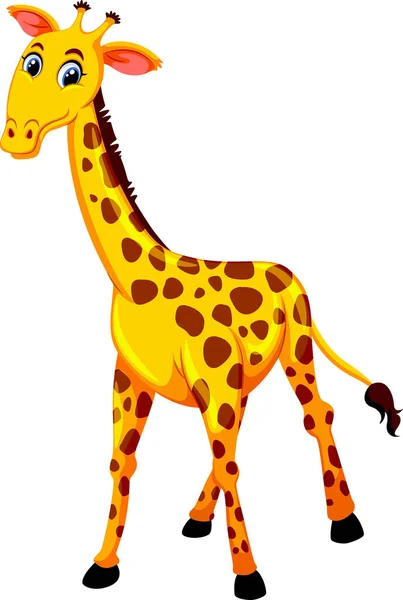 Illustration Der Giraffe Mit Weißem Hintergrundvektor — Stockvektor