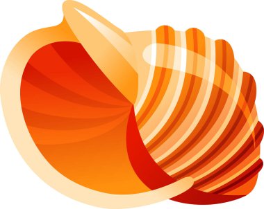 Kabuk görüntüsü, beyaz arkaplan vektörü