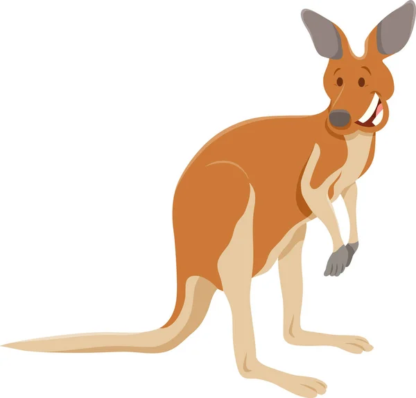 Illustration Kangaroo White Background Vector — Stock Vector