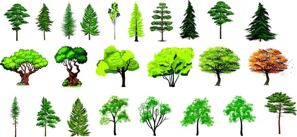 Set Diversi Albero Design Realistico Illustrazione Vettoriale Modificabile — Vettoriale Stock