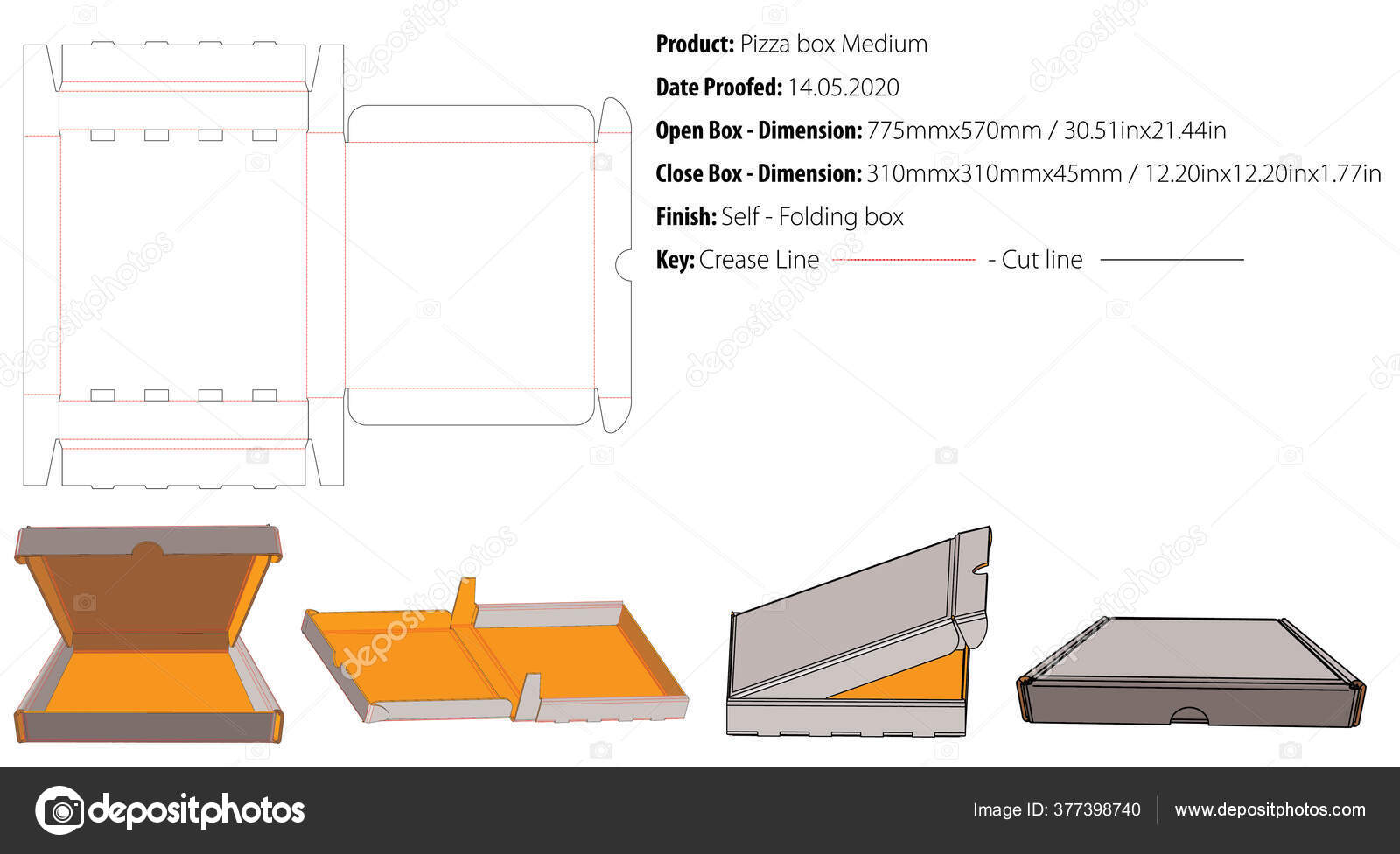Pizza Box Medium Packaging Template Self Lock Die Cut Vector Stock