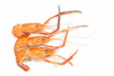 Beyaz izole dev tatlı su karides ızgara