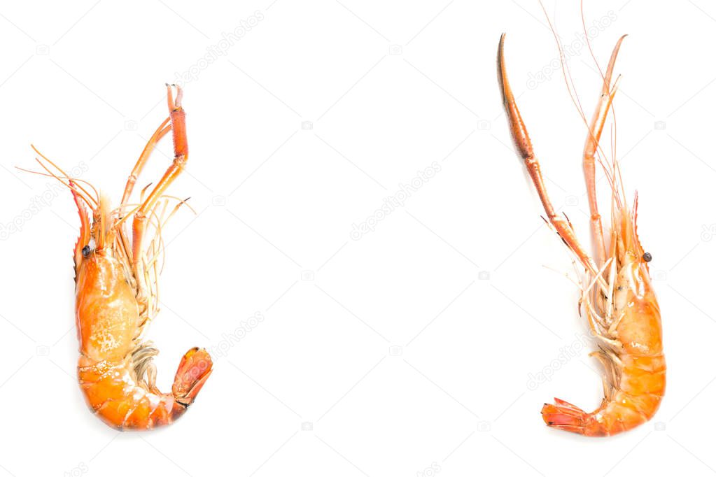 Grilled giant freshwater prawn isolated on white
