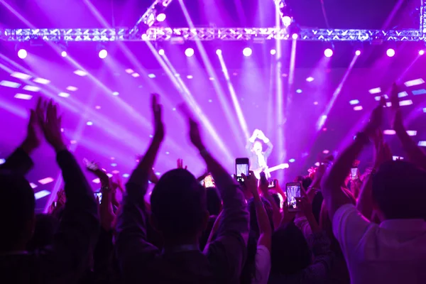 Menigte Genieten Van Het Concert Gelukkige Mensen Springen Grote Groep — Stockfoto