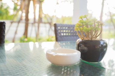 Siyah bir saksıda yeşil plastik bitki ve cam bir masada beyaz kül tablası.