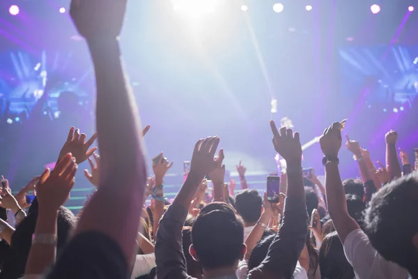 Crowd enjoying concert, large group celebrating new year holiday — Stock Photo, Image