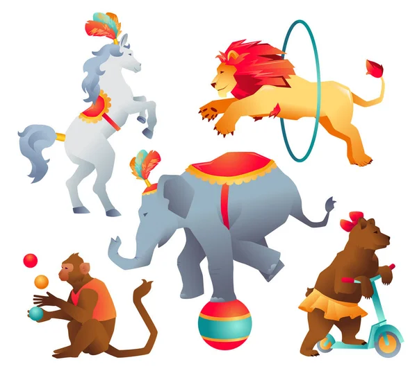 Set of Circus trained wild animals performance isolated on white — Stock Vector