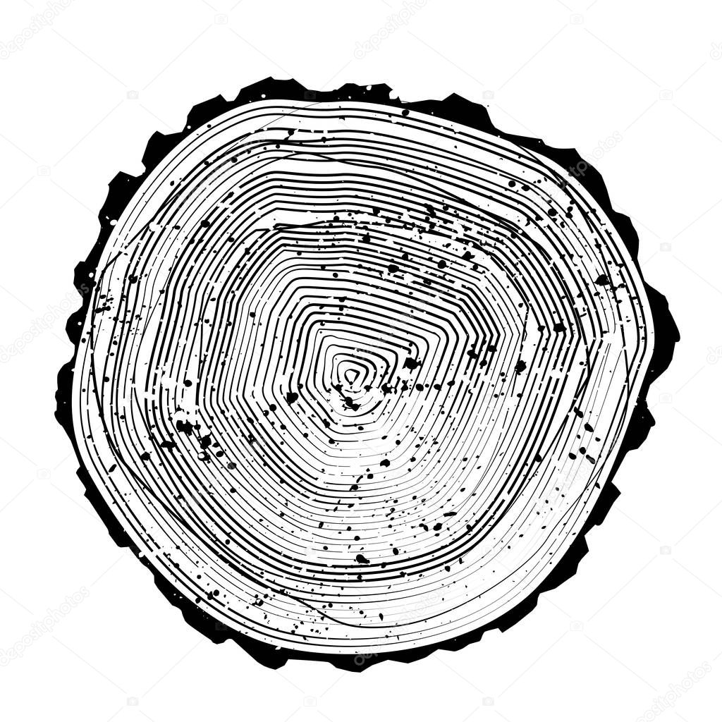 tree black and white rings background and saw cut tree trunk