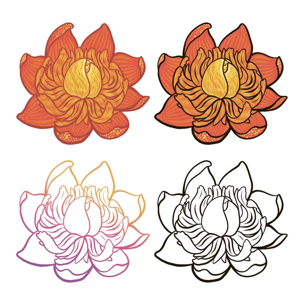 Desenhos animados cor da flor e versão em preto e branco, para colorir — Vetor de Stock