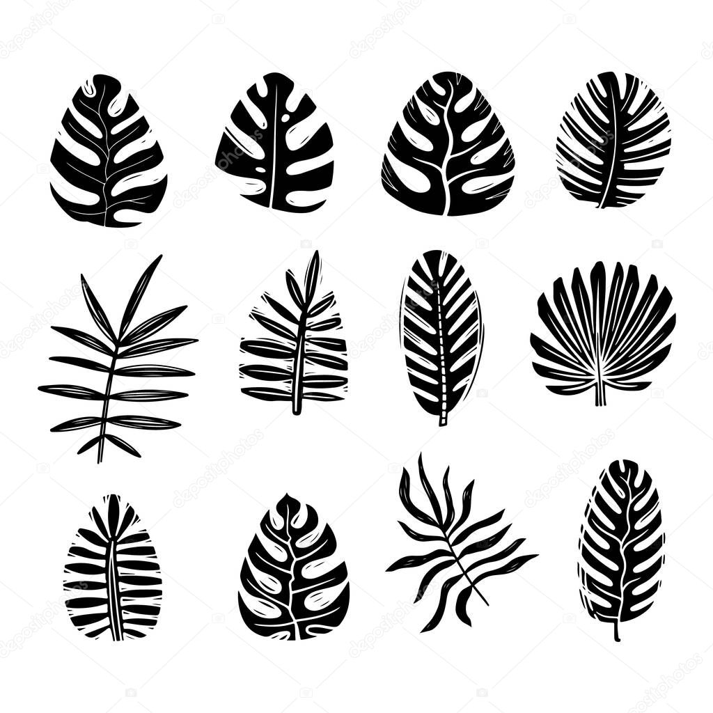 Exotic palm leaves monochrome silhouette illustrations set. Tropical foliage, tree frond isolated black cliparts pack on white background. Rainforest and jungle leafage design element