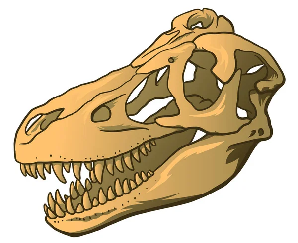 Dibujado a mano ilustración de dibujos animados de cráneo de dinosaurio aislado sobre fondo blanco, símbolo de paleontología. Etiqueta Arqueología — Archivo Imágenes Vectoriales