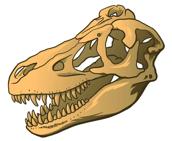 T Rex Dinosaur Skeleton Silhouette Illustration: ilustrações stock  2002026125