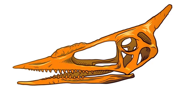 Dibujado a mano ilustración de dibujos animados de cráneo de dinosaurio aislado sobre fondo blanco, símbolo de paleontología. Etiqueta Arqueología — Vector de stock