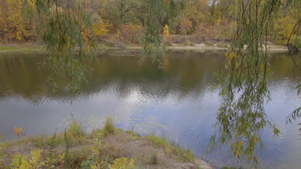 Panorama de la ciudad prohibida en otoño — Vídeos de Stock