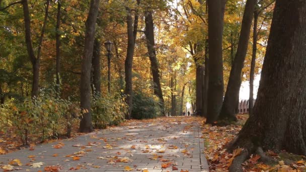 Banc dans le parc. Le jour d'automne. Poupée lisse tourné .