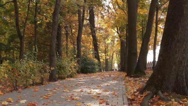 Banc dans le parc. Le jour d'automne. Poupée lisse tourné . — Video