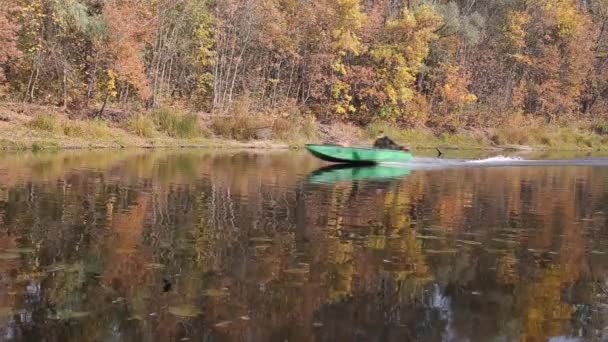 Гомель, Беларусь - 3 октября 2016 года: моторная лодка движется на высокой скорости по реке Сож — стоковое видео