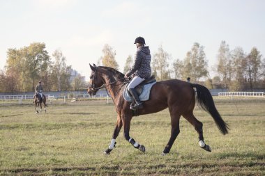 Gomel, Belarus - 16 Ekim 2016: yarışmalar önce ısınmak için binici at üstünde