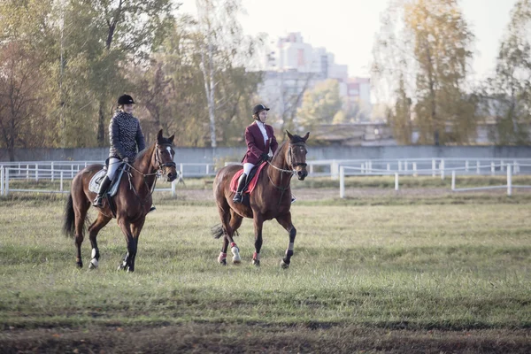 Gomel, Bělorusko – 16. října 2016: Dvě dívky jezdec koně před soutěží pro zahřátí — Stock fotografie