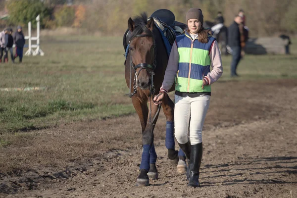 Gomel, Bielorrússia - 16 de outubro de 2016: o cavaleiro leva o cavalo em uma coleira. o começo do aquecimento — Fotografia de Stock